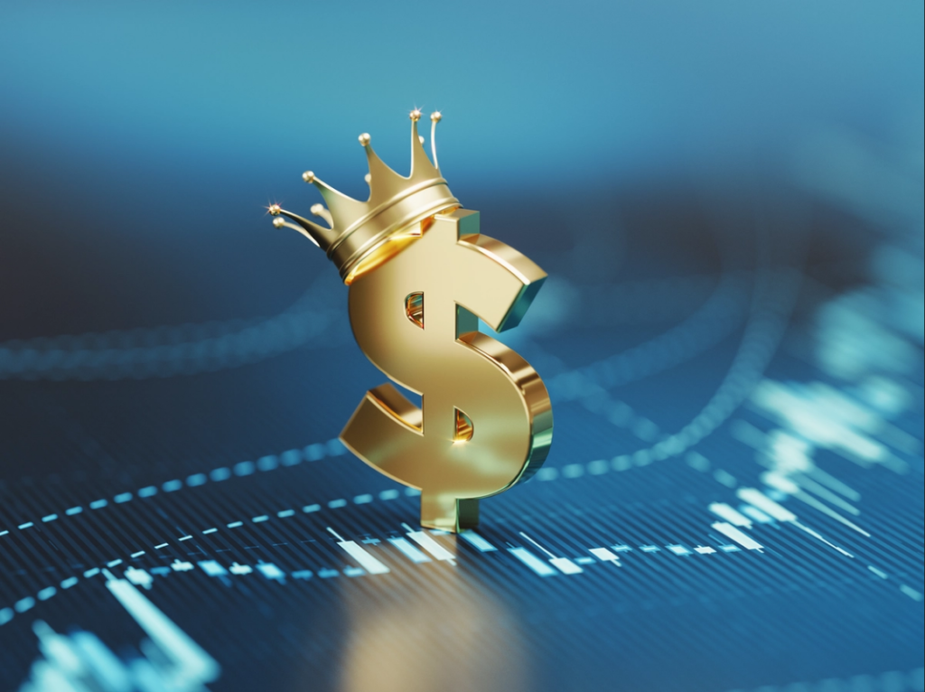 Rey Dólar: La Moneda Refugio Segura