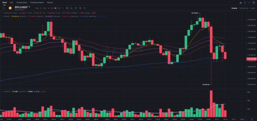 Gráfico de Bitcoin hoy precio con sistema Wavy Tunnel EMA mostrando pendiente negativa y prueba de soporte en 169 EMA